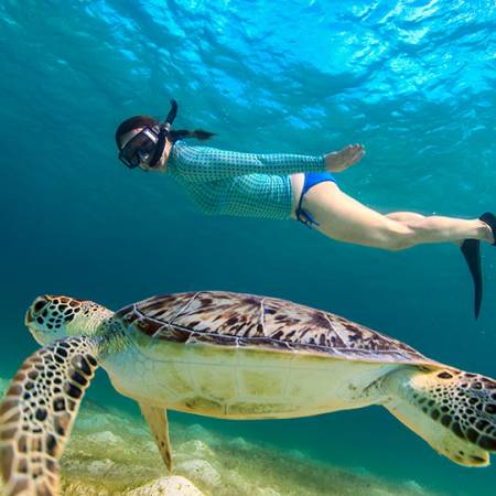 Grab a Snorkel and Go Grab a Snorkel and Go
