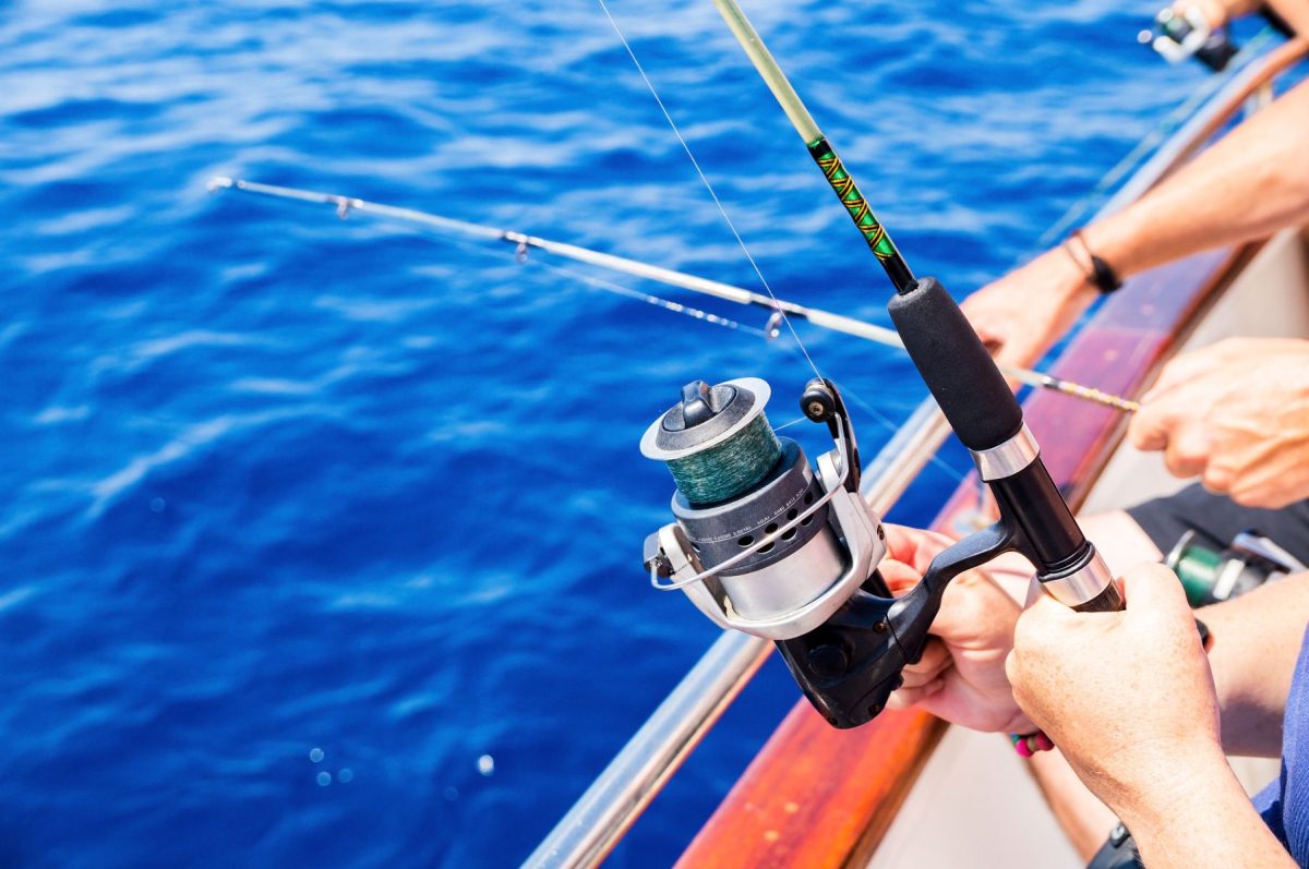 fishing rods on boat